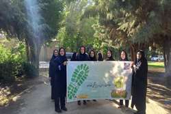 برگزاری برنامه پیاده‌روی صبحگاهی و صبحانه سالم با محوریت کمپین سلامتی را قدم بزن ویژه کارکنان شبکه بهداشت و درمان اسلامشهر